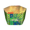 Profi-Feuerwerk,Batteriefeuerwerk, Sivesterfeuerwerk,F3